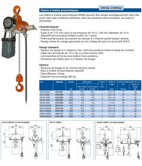 Palan pneumatique à chaine DK de 0.25 à 2 tonnes